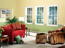 Energy Efficient Windows