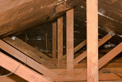 insulation in attic