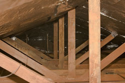 Radiant Insulation