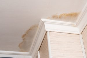 Water Damage Signs: Bathrooms