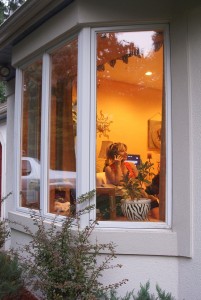 , Bay Windows New Orleans