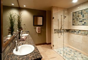 , Walk-in Shower Ideas for Seniors