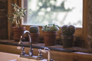, Windows Buying Guide for Homeowners: Types and Styles