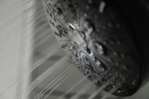 , Knowing When to Remodel Your Shower