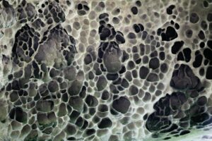 , Knowing When to Remodel Your Shower